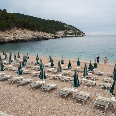 La Finestra Sul Mare - Antonella Apartment Vieste Exteriör bild