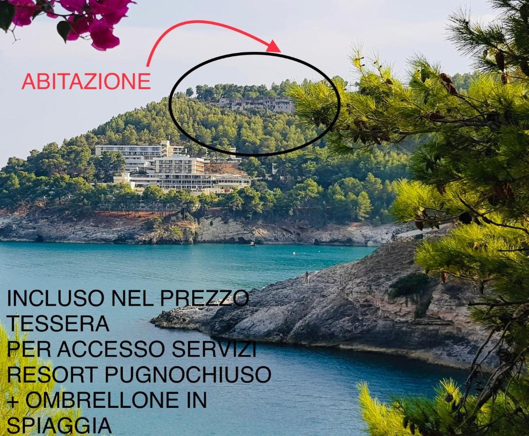 La Finestra Sul Mare - Antonella Apartment Vieste Exteriör bild